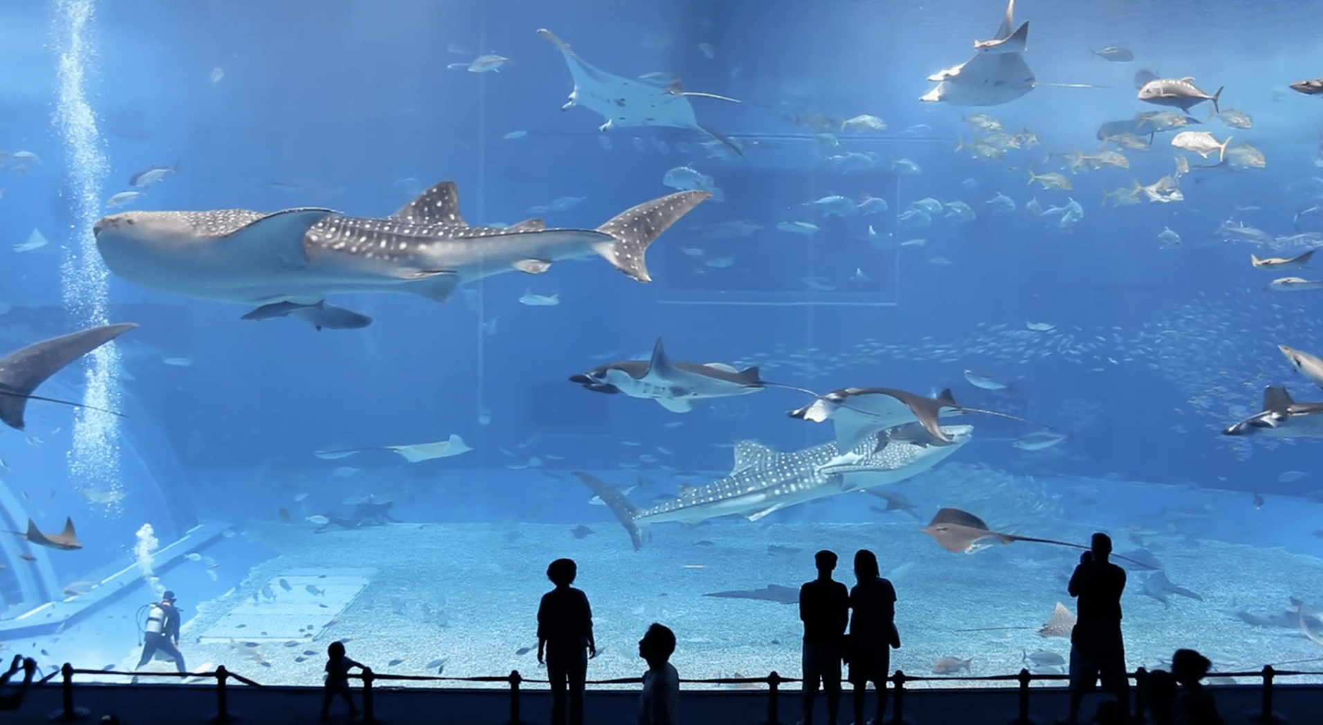 Le Deuxième Plus Grand Aquarium Du Monde