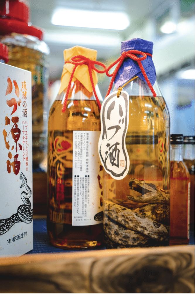 Schlangen-Sake Aus Okinawa