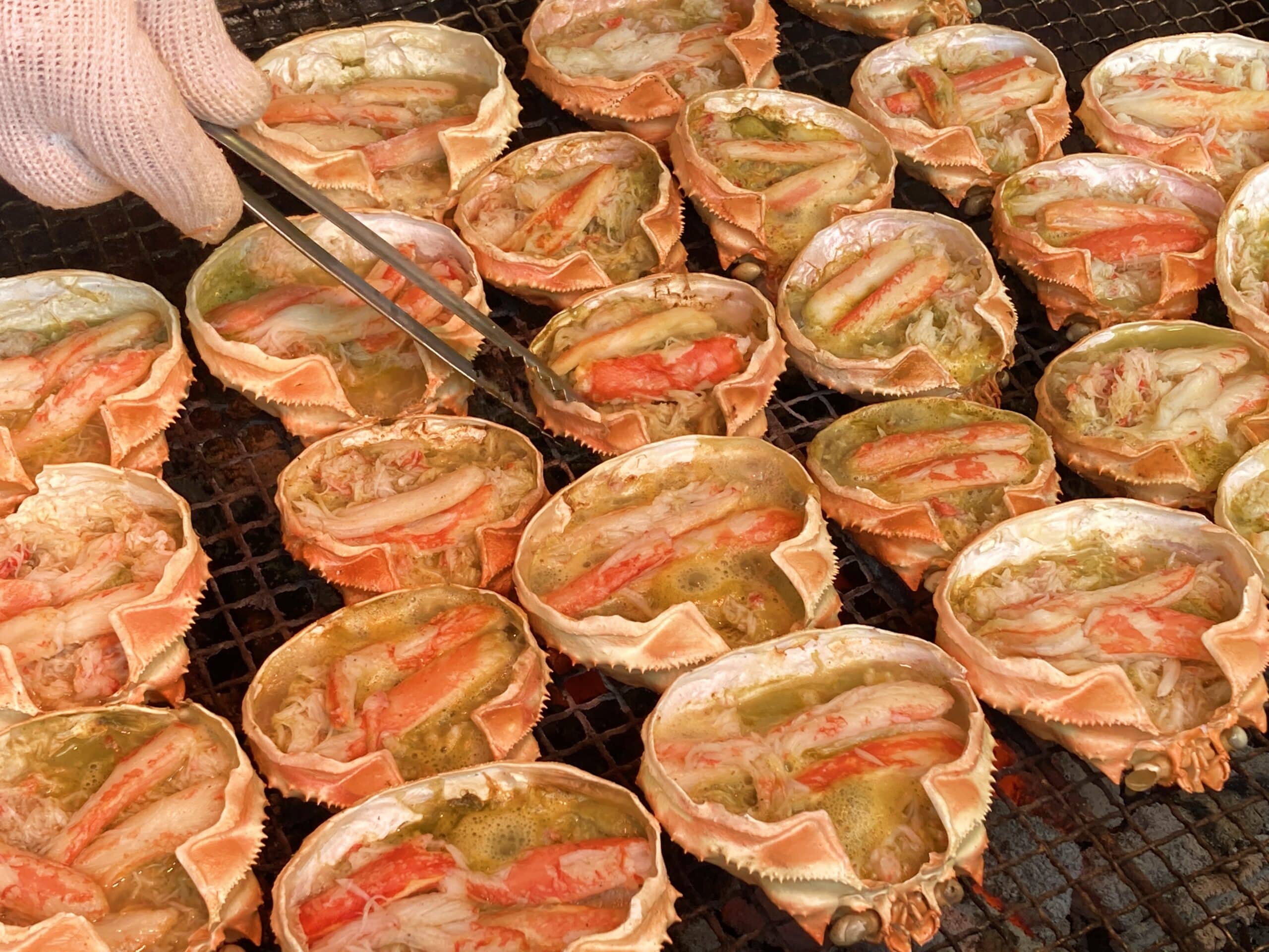 Discover Hokkaido – Japan’s Seafood Paradise